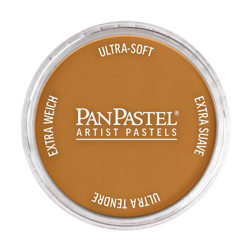 3 Pack - PanPastel Ultra Soft Artist Pastel 9ml- Raw Sienna - PPSTL-1H0M1 - 879465001859