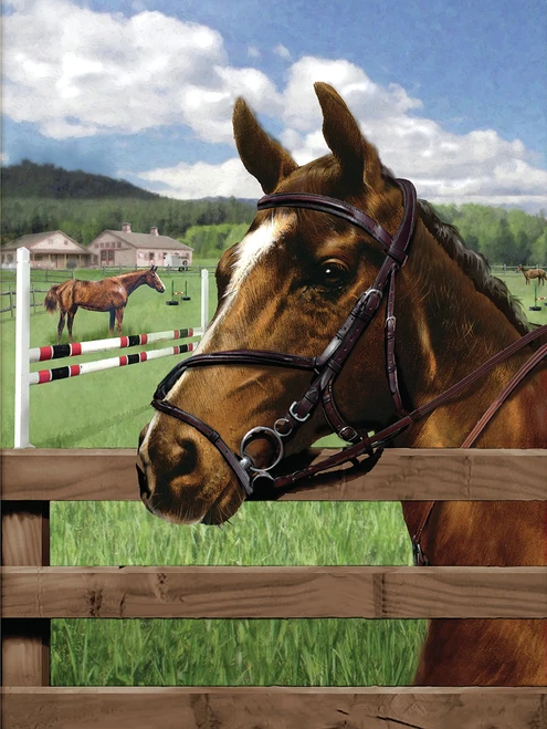 Royal & Langnickel(R) Small Paint By Number Kit 8.75"X11.75"-Equine Paddock - PJS-88 - 090672373946