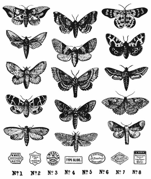 Tim Holtz Cling Stamps 7"X8.5"-Moth Study - CMS436 - 793888453609