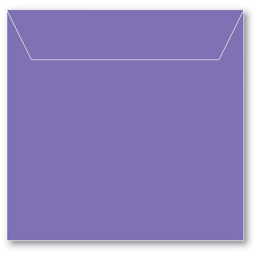 Memory Box Small Storage Pouch 5.125"X5" 50/Pkg-Violet SBS1-009 - 873980240090