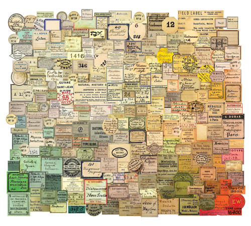 Idea-Ology Ephemera Snippets 233/Pkg-Curator - TH94152 - 040861941524