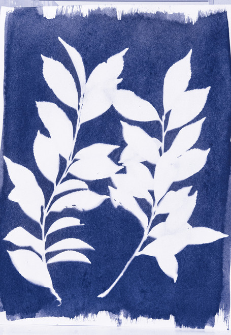 Jacquard Cyanotype Chemistry Set- - JCYA1100