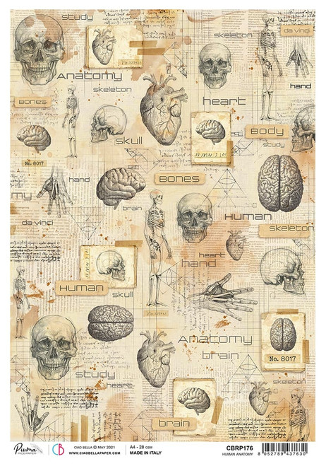 Ciao Bella Rice Paper Sheet A4 5/Pkg-Human Anatomy, Sign Of The Times CBRP176 - 8052789437630