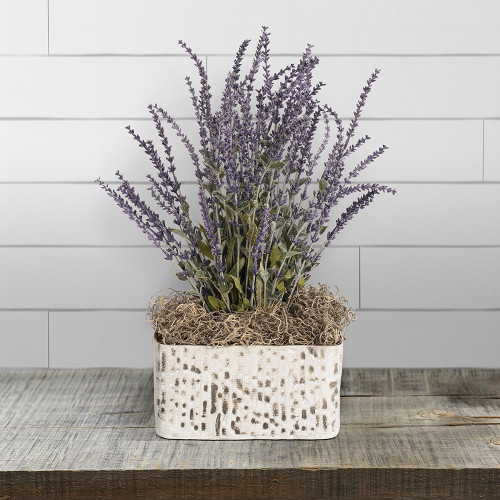 FloraCraft Spanish Moss 4oz-Natural - SM424 FloraCraft Spanish Moss 4oz-Natural - SM424