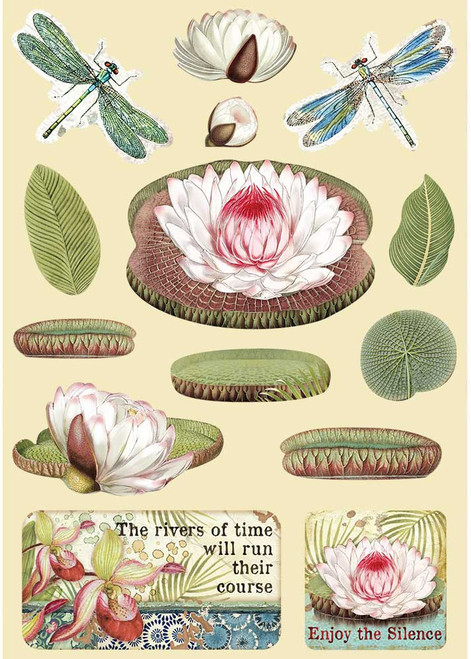 2 Pack - Stamperia Wooden Shapes A5-Water Lily, Amazonia - KLSP094 - 59931100129865993110012986 2 Pack - Stamperia Wooden Shapes A5-Water Lily, Amazonia - KLSP094 - 59931100129865993110012986