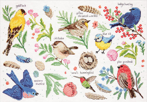 Design Works Counted Cross Stitch Kit 12"X18"-Bird Study (14 Count) DW3413