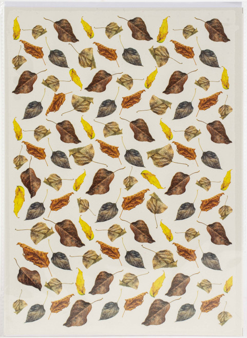 Dress My Craft Transfer Me Sheet A4-Dry Leaves - DMCD4314 Dress My Craft Transfer Me Sheet A4-Dry Leaves - DMCD4314