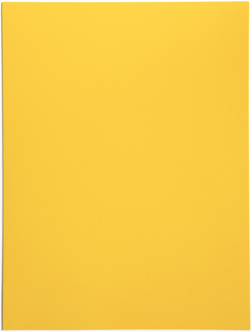 10 Pack Foam Sheet 9"X12" 2mm-Goldenrod Yellow A50026NV-46 - 191648094398