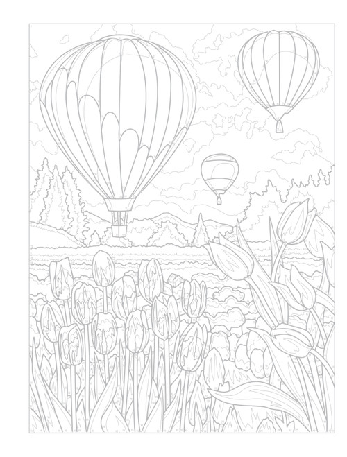 Creative Haven: Celebrate Spring Coloring Book-Softcover B6845432