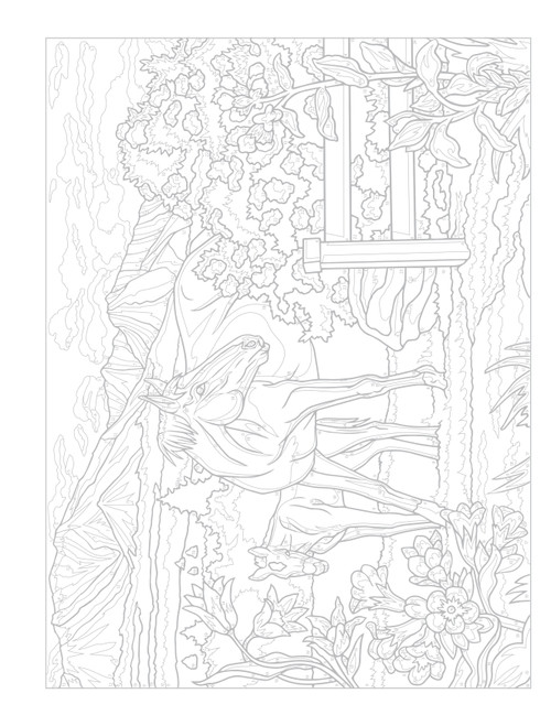 Creative Haven: Celebrate Spring Coloring Book-Softcover - B6845432