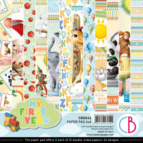Ciao Bella Double-Sided Paper Pad 90lb 6"X6" 24/Pkg-My First Year, 12 Designs/2 Each CBQ042 - 80527894364428052789436442