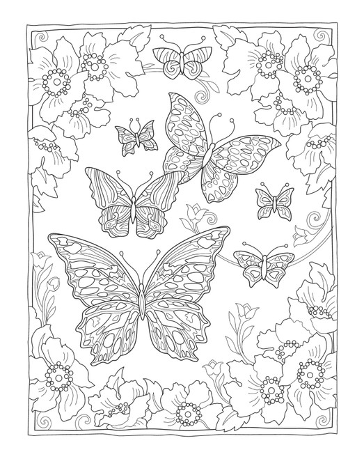 Creative Haven: Butterflies Flights Coloring Book-Softcover B6845418