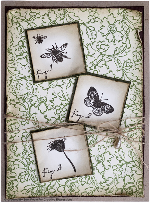 Creative Expressions A5 Clear Stamp Set By Sam Poole-Butterfly Walk CEC957 - 50553059635795055305963579