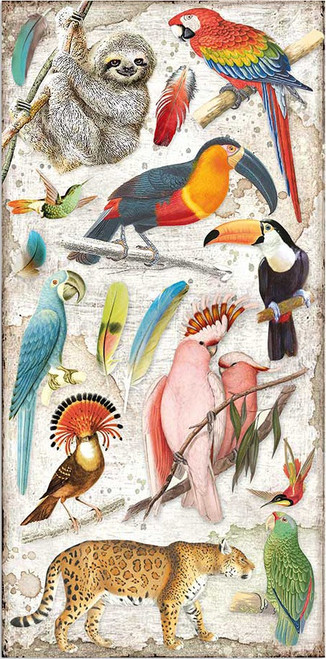 Stamperia Collectables Double-Sided Paper 6"X12" 10/Pkg-Amazonia, 10 Designs/1 Each SBBV01