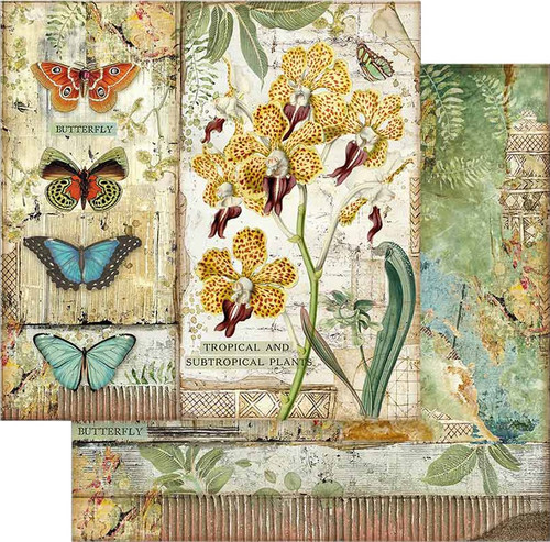Stamperia Double-Sided Paper Pad 8"X8" 10/Pkg-Amazonia, 10 Designs/1 Each SBBS28