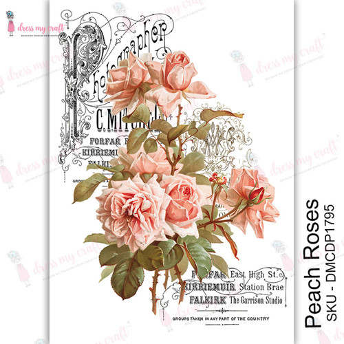 3 Pack Dress My Craft Transfer Me Sheet A4-Peach Roses DMCD1795