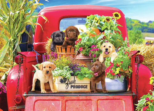 Kodak Premium Jigsaw Puzzle 1000 Pieces 20"X27"-Stowaways - 8700ZZAA Kodak Premium Jigsaw Puzzle 1000 Pieces 20"X27"-Stowaways - 8700ZZAA