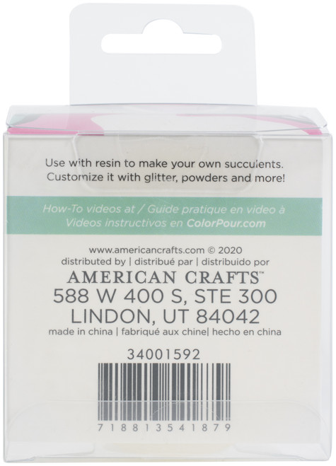 American Crafts Color Pour Resin Mold -Succulent 34001592
