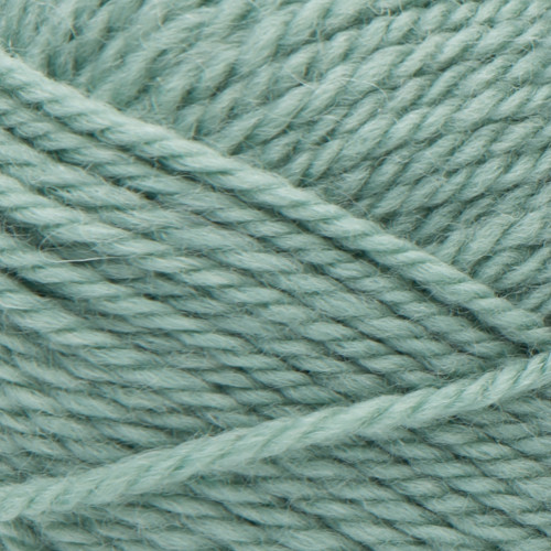 5 Pack Patons Classic Wool Yarn-Basil 244077-77763