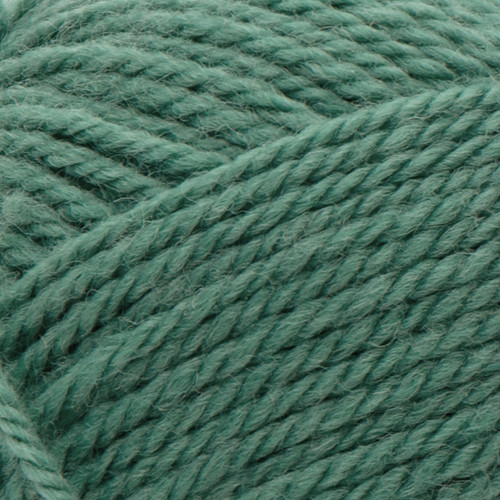 5 Pack - Patons Classic Wool Yarn-Rich Grass - 244077-77764