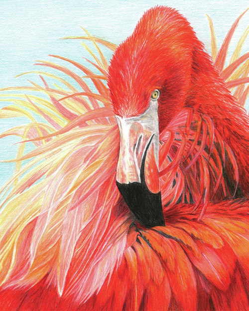 3 Pack - Royal & Langnickel Color Pencil By Number Kit 8.75"X11.75"-Flamingo - CPBNK-23 - 090672373663