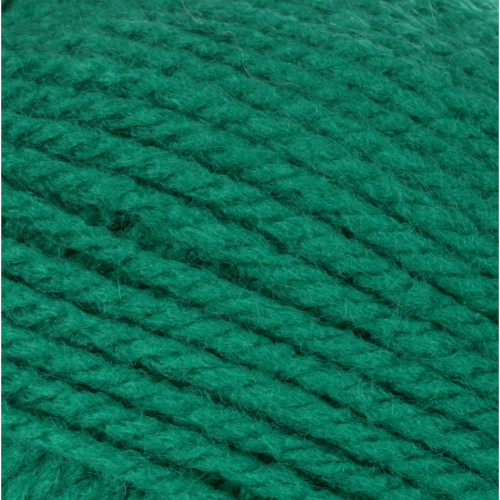 10 Pack - Patons Astra Yarn - Solids-Emerald - 246008-2708