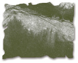 3 Pack - Tim Holtz Distress Ink Pad-Forest Moss - DIS-27133