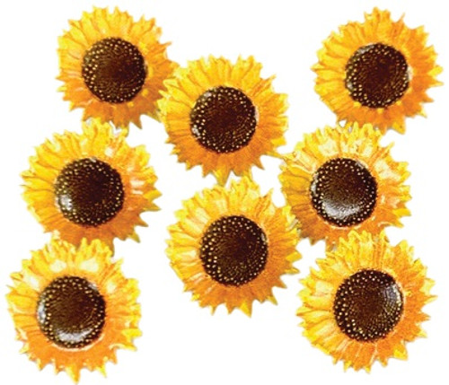 6 Pack - Eyelet Outlet Shape Brads 12/Pkg-Sunflower - QBRD2-127