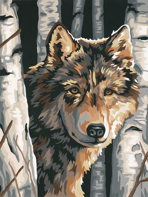 2 Pack Paint Works Paint By Number Kit 9"X12"-Wolf Among Birches 91325 - 088677913250