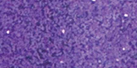 3 Pack - Ranger Embossing Powder-Purple Tinsel - EPJ-64565