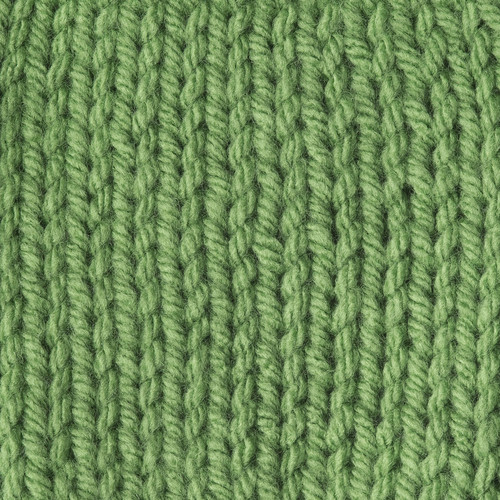 2 Pack - Caron One Pound Yarn-Grass Green - 294010-10620