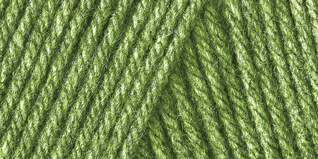 2 Pack - Caron One Pound Yarn-Grass Green - 294010-10620