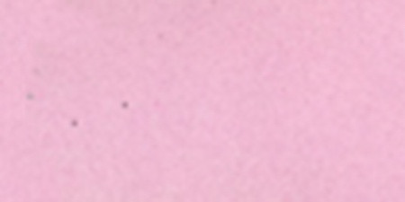 3 Pack - Ranger Embossing Powder-Blush Pearl - EPJ-60444