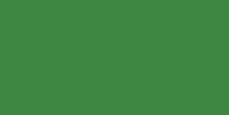 3 Pack - Dina Wakley Media Acrylic Paint 1oz-Evergreen - MDQ-53996