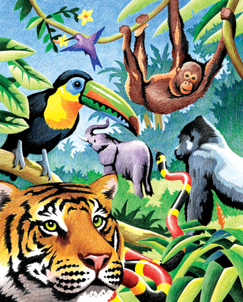 3 Pack - Royal & Langnickel Color Pencil By Number Kit 8.75"X11.75"-Jungle Animals - CPBNK-4