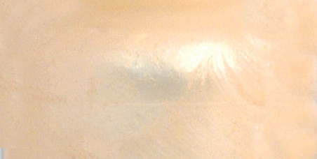 6 Pack - Ranger Liquid Pearls Dimensional Pearlescent Paint .5oz-Bisque - LPL-28062