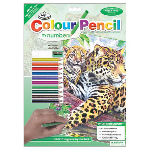 3 Pack Royal & Langnickel Color Pencil By Number Kit 8.75"X11.75"-Jaguar Family CPBNK-10 - 090672057105