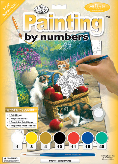 3 Pack Royal & Langnickel(R) Small Paint By Number Kit 8.75"X11.75"-Bumper Crop PJS-48 - 090672056917