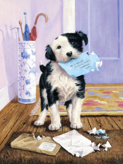 3 Pack - Royal & Langnickel(R) Small Paint By Number Kit 8.75"X11.75"-The Mail Menace - PJS-44