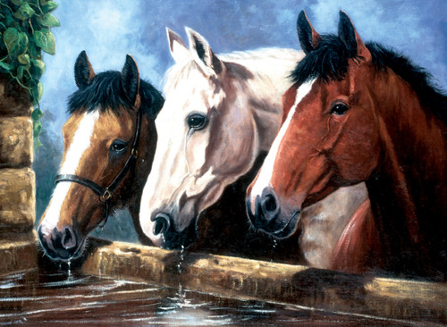 4 Pack - Royal & Langnickel(R) Large Paint By Number Kit 15.4"X11.25"-3 Of A Kind - PJL-23