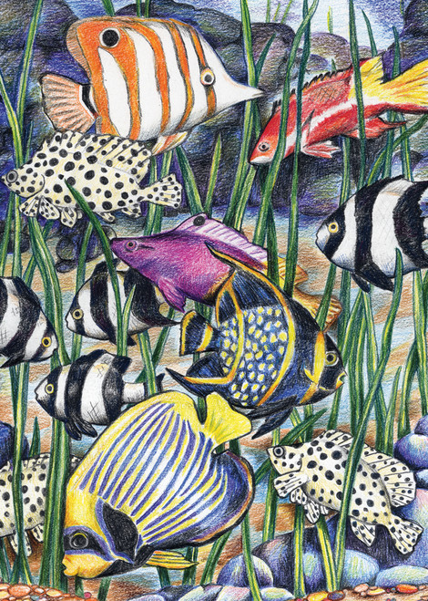 12 Pack Royal & Langnickel(R) Mini Color Pencil By Number Kit 5"X7"-Tropical Fish CPNMIN-107 - 090672057372