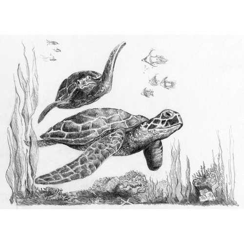 6 Pack Royal & Langnickel(R) Sketching Made Easy Kit 5"X7"-Sea Turtles SKMIN-104