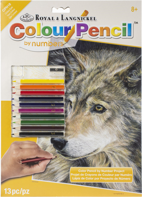 3 Pack - Royal & Langnickel Color Pencil By Number Kit 8.75"X11.75"-Curious Eyes - CPBNK-18 - 090672943583