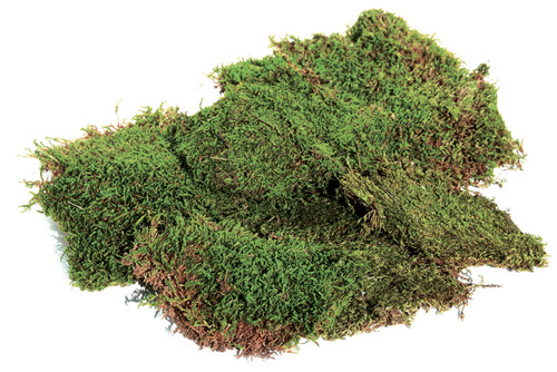 3 Pack SuperMoss Preserved Sheet Moss 2oz-Green FS21550