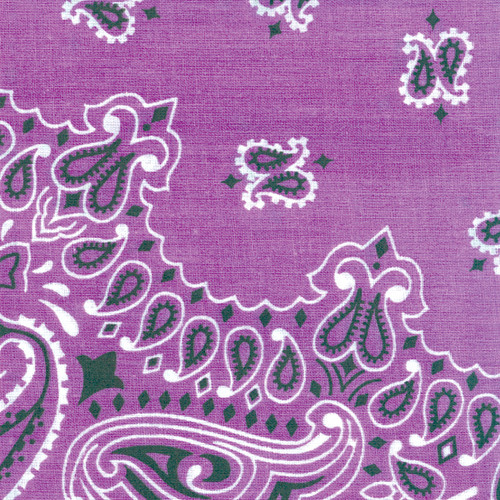 6 Pack Carolina Hav-A-Hank Paisley Bandanna 22"X22"-Lavender B22PAI-12 - 070685100128