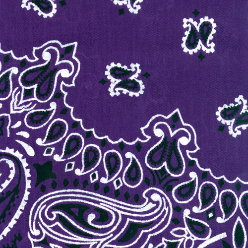 6 Pack - Carolina Hav-A-Hank Paisley Bandanna 22"X22"-Purple - B22PAI-13 - 070685100135