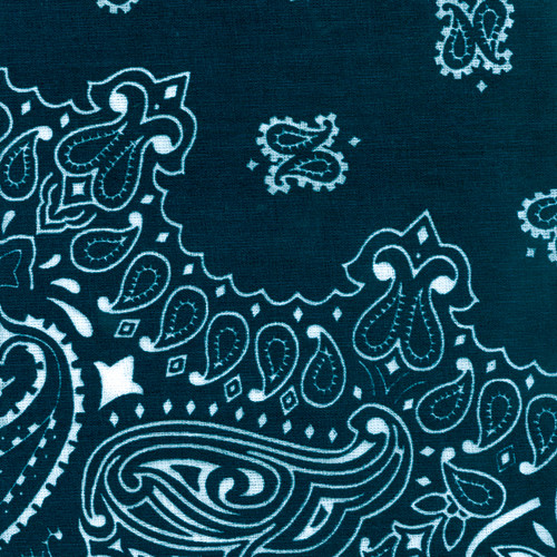 6 Pack - Carolina Hav-A-Hank Paisley Bandanna 22"X22"-Navy - B22PAI-02 - 070685000022