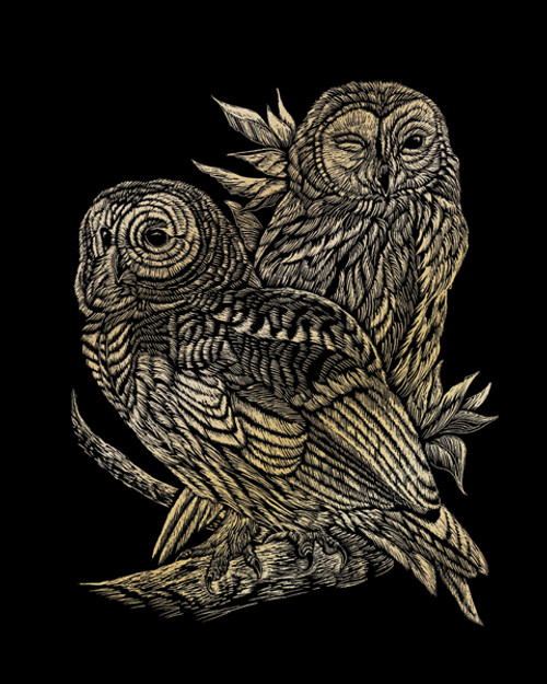 3 Pack - Royal & Langnickel(R) Gold Foil Engraving Art Kit 8"X10"-Owls - GOLDFL-13