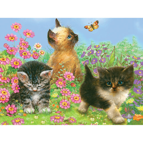 3 Pack - Royal & Langnickel Color Pencil By Number Kit 8.75"X11.75"-Kittens - CPBNK-14
