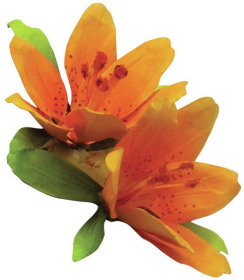 6 Pack - Woodland Scenics Paper Pollen 1oz-Orange - T46-46 6 Pack - Woodland Scenics Paper Pollen 1oz-Orange - T46-46